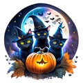 Cute black cat sitting on pumkin haloween theme background