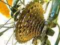 A picture of cycle chain ,