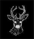 Picture of a deer with peacock feathers in horns. Black and white vector of decorated deer. Chalk on a blackboard. Royalty Free Stock Photo