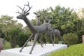 A picture of Deer Statues with selective