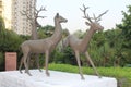 A picture of Deer Statues with selective