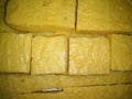 A picture of delicious Indian milky sweets
