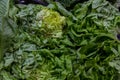 Delicious and nutritive lettuces in a food market