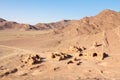 Abandoned old Iranian village in the desert near the city of Yazd, made of clay walls and clay houses, half destroyed Royalty Free Stock Photo