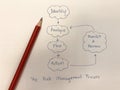 picture diagram of the risk management process