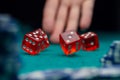 Picture of dice, chips, palm in casino on green table