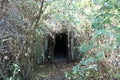 Hidden Bunker Door