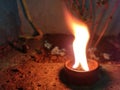 Worship to goddess tulsi with the burning diya