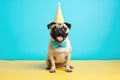 A picture of a dog wearing a festive party hat and a stylish bow tie. Royalty Free Stock Photo