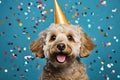 Picture of dog wearing party hat with confetti in background. Royalty Free Stock Photo