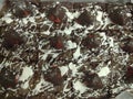 Brownie black and white chocolate