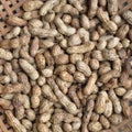 A picture of Dried peanuts. Royalty Free Stock Photo