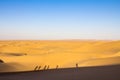 Sand dunes in the Maranjab desert, near Kashan, Iran, at sunset, with the shape and shadows of people, tourists, walking. Royalty Free Stock Photo