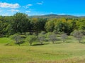 Early fall in The Hudson Valley - Vanderbilt Mansion National Historic Site Royalty Free Stock Photo