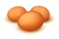 Picture of egg27