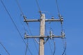 Electric Pole Royalty Free Stock Photo