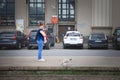 RIGA, LATVIA - AUGUST 28, 2023: Selective blur on a woman observing a seagull in the center of Riga, city of Latvia, an european