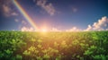 A Picture Of An Evocative Image Of A Rainbow Over A Field Of Clover AI Generative