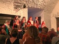 Famous Bunratty Entertainers at Bunratty Banquet Royalty Free Stock Photo