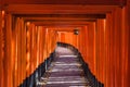 Torii path with a hanging lantern at Fushimi Inari-Taisha Shrine, Kyoto district, Japan