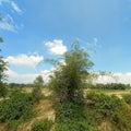 A picture of a farm with a green tree Pothe very beautiful image