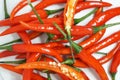 Close-up on red chili peppers