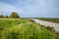 Panorama of Titelski breg, or titel hill, in Vojvodina, Serbia, with a green meadow field and green trees & the river tisa (or