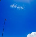 Picture of flags of Thailand in the sky