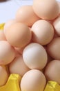 This is a picture of food eggs