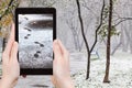 Picture footprints in first snow in urban park