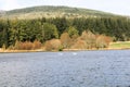 The forest lake in Ardross