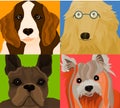 The Dogs Royalty Free Stock Photo