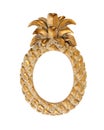 Picture Frame Gold Fancy Pineapple Shape Royalty Free Stock Photo