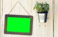 Picture frame green screen and pot plant on wooden surface. PNG available Royalty Free Stock Photo