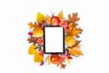 Picture frame mock-up surrounded by various colorful autumn fruits and leaves over white background Royalty Free Stock Photo