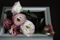 Picture frame with nice pink and white roses