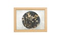 Picture frame with old dried flowers Royalty Free Stock Photo