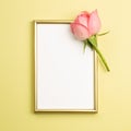 Picture frame with pink rose flower on yellow background Royalty Free Stock Photo