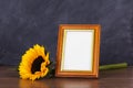 Picture frame and sunflower against a dirty blackboard background