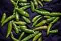 Picture of fresh and hot green chillies with black background Royalty Free Stock Photo