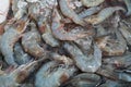 This is a picture of fresh shrimp from the market Royalty Free Stock Photo