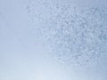 Picture of a frost on the windowpane Royalty Free Stock Photo