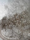 A picture of a frost on the windowpane. Winter landscape Royalty Free Stock Photo