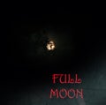 Picture full moon in darkness