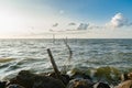 Picture of a fyke or fishing net at the IJsselmeer lake in the N Royalty Free Stock Photo