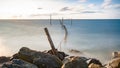 Picture of a fyke or fishing net at the IJsselmeer lake in the N Royalty Free Stock Photo