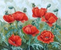 Picture - `Garden poppies`. Painting - oil, canvas.