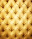 Picture of genuine leather Royalty Free Stock Photo