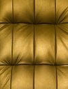 Picture of genuine leather upholstery