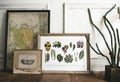 Picture go hand drawing flowers collection in a frame